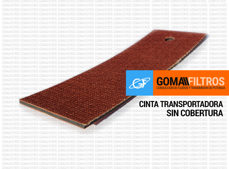 Cinta transportadora EP200 sin cobertura