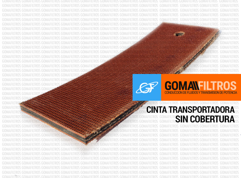 Cinta transportadora EP300 sin cobertura