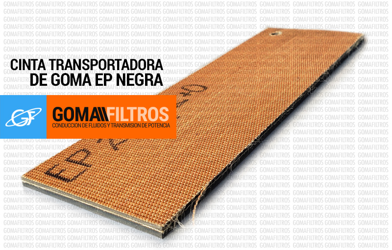 EP 250 dorso