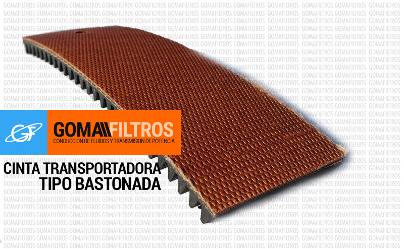 EP bastonada dorso
