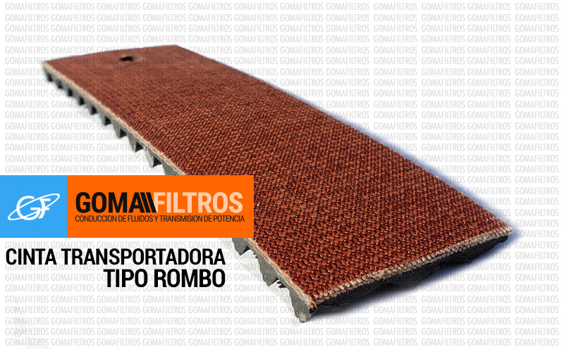 EP rombo dorso