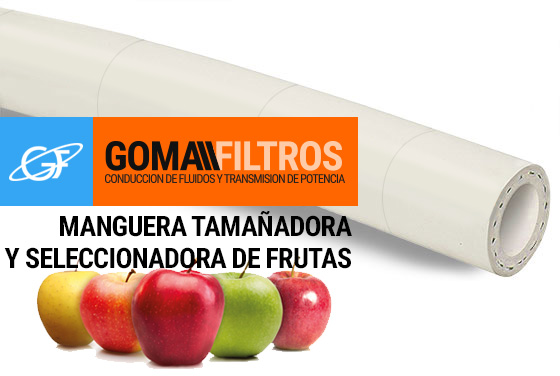 manguera clasificadora de frutas